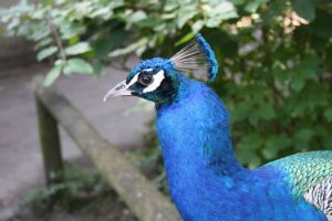 Haus Natur und Umwelt